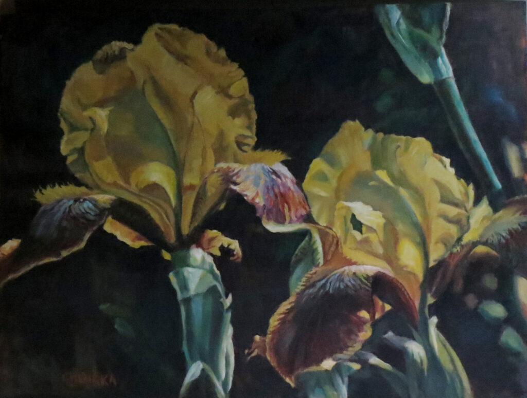 Yellow Irises — oil painting by Marylou Chibirka